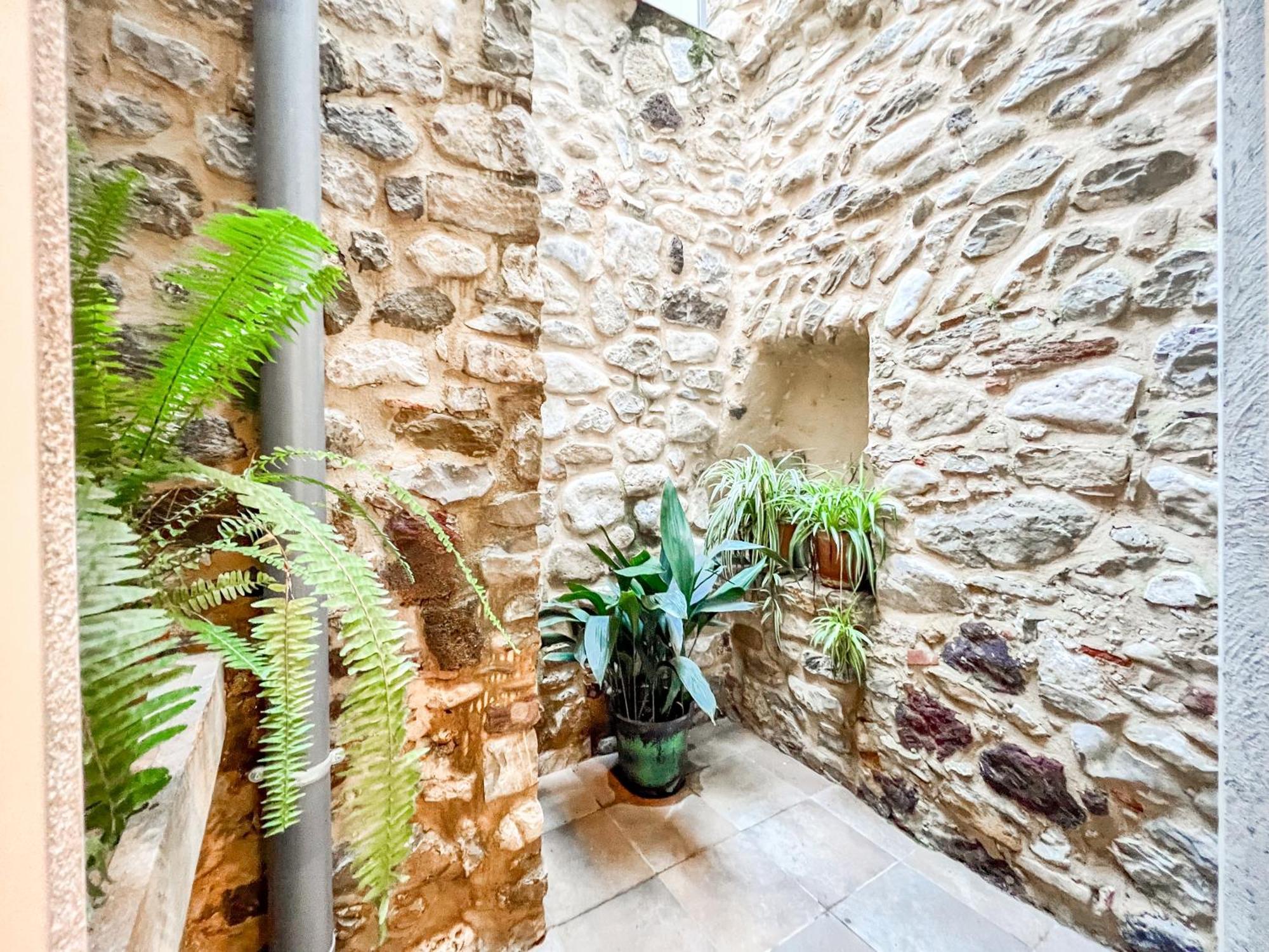 Ganganell Centre Apartamento Con Patio Besalú Kültér fotó